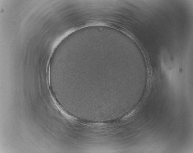 X0000051881127200507151905