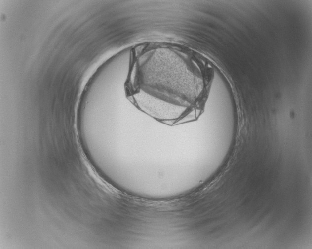 X0000051881128200507151905