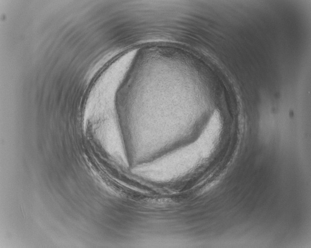 X0000051881129200507151905