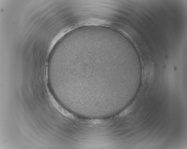 X0000051881130200507151905