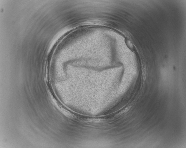 X0000051881131200507151905