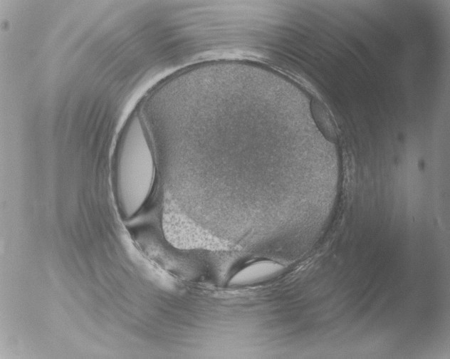 X0000051881132200507151905