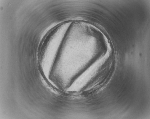 X0000051881133200507151905