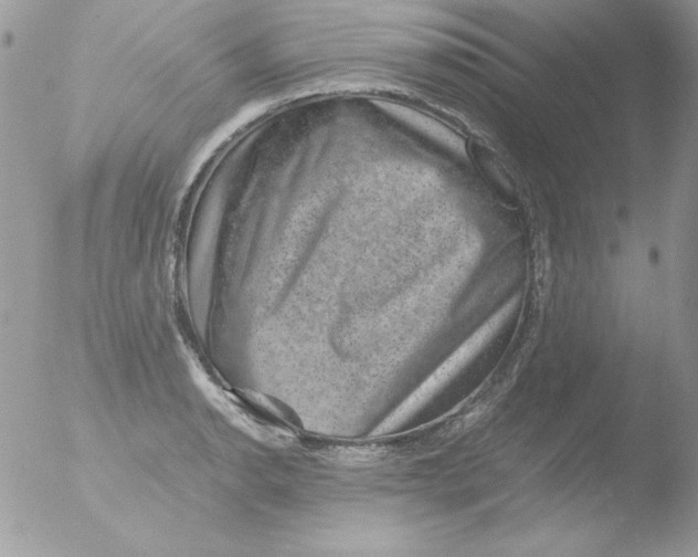 X0000051881134200507151905