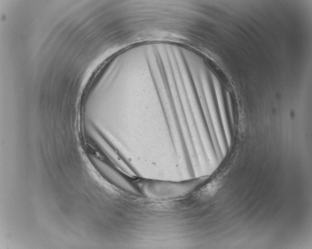 X0000051881136200507151905