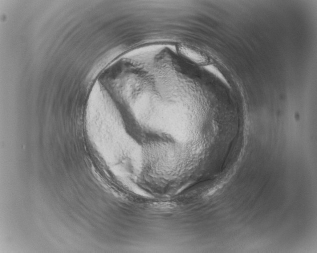 X0000051881137200507151905