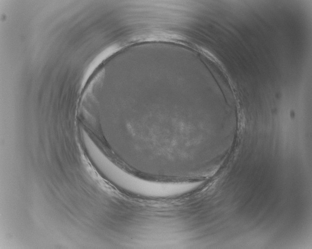 X0000051881138200507151905