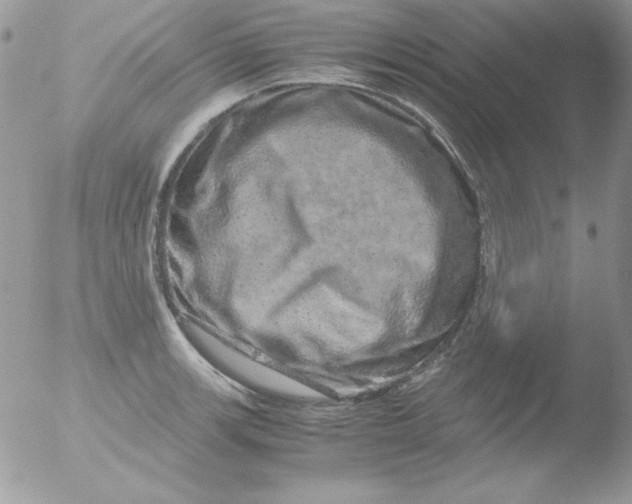 X0000051881139200507151905