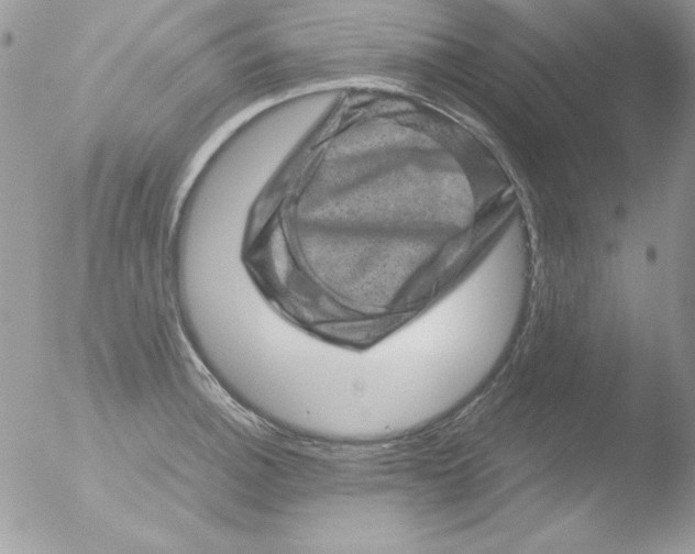 X0000051881140200507151905