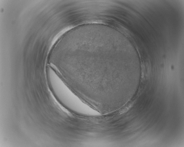 X0000051881141200507151905