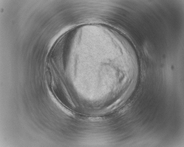 X0000051881142200507151905