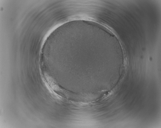 X0000051881144200507151906