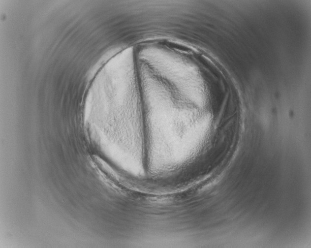 X0000051881145200507151906