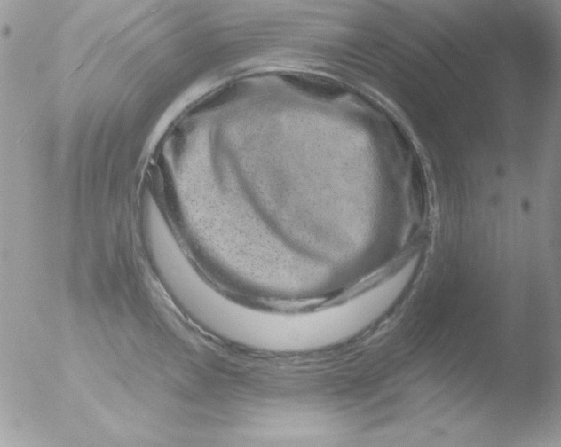 X0000051881146200507151906