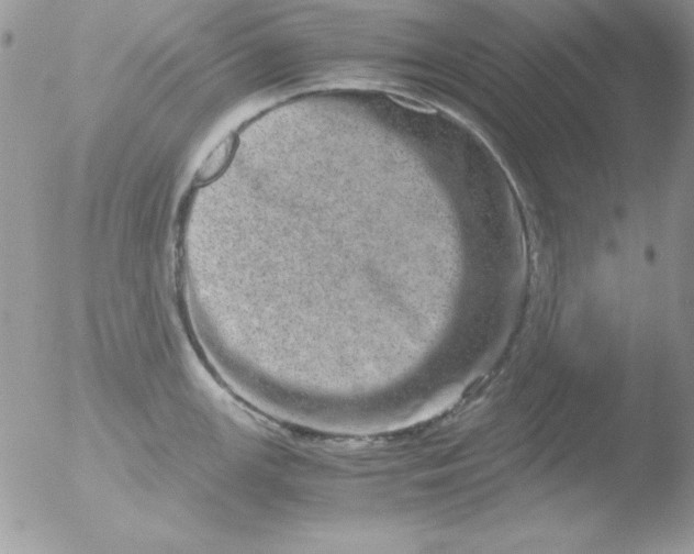 X0000051881147200507151906