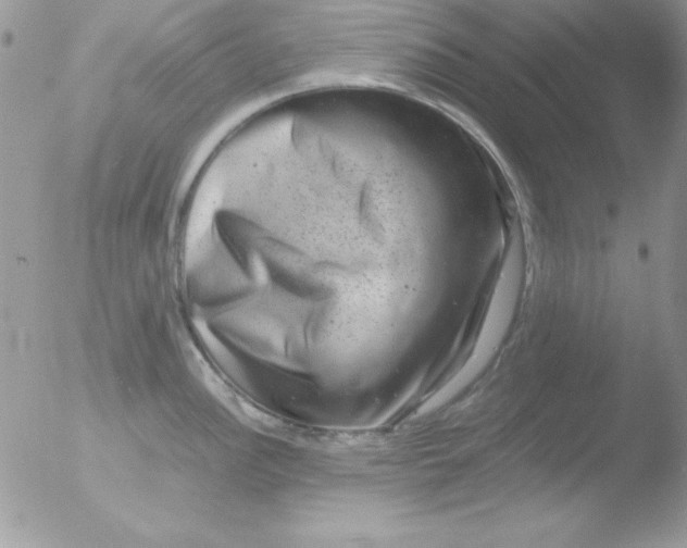 X0000051881148200507151906