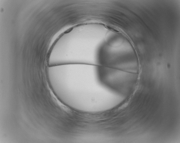 X0000051881149200507151906