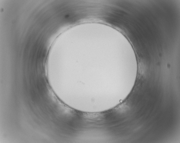 X0000051881150200507151906