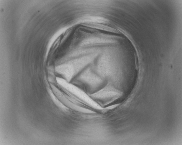 X0000051881152200507151906