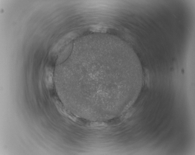 X0000051881154200507151905