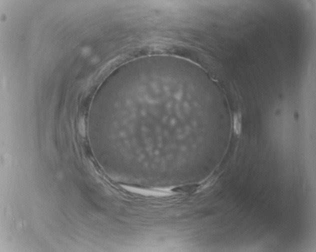 X0000051881155200507151905