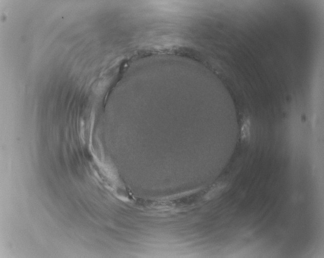 X0000051881156200507151905