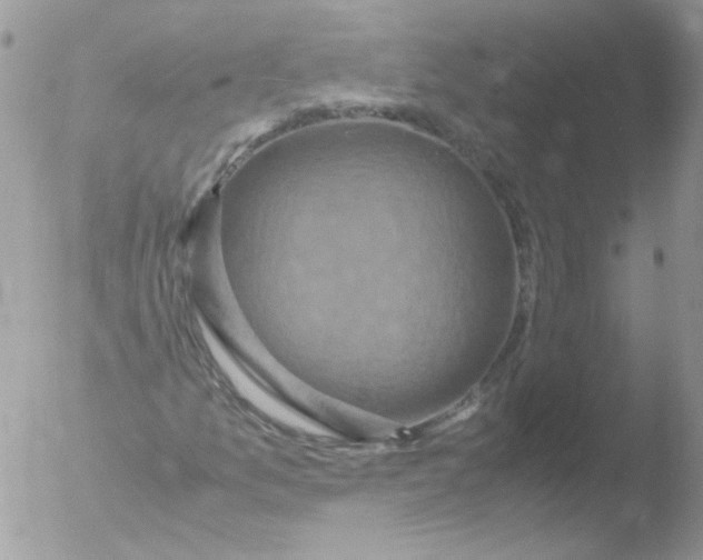 X0000051881157200507151905