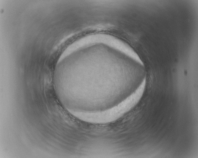 X0000051881158200507151905