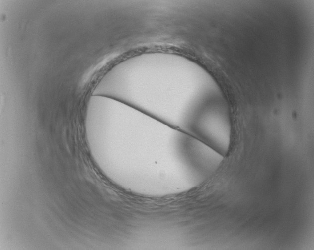 X0000051881159200507151905