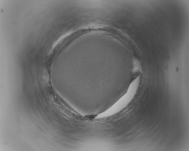 X0000051881160200507151905