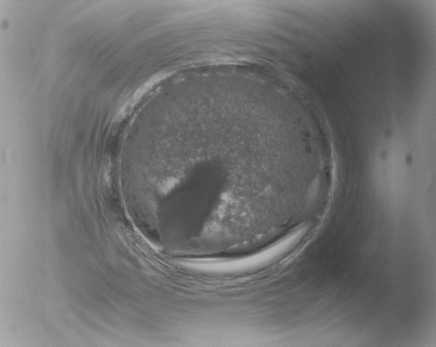 X0000051881161200507151905