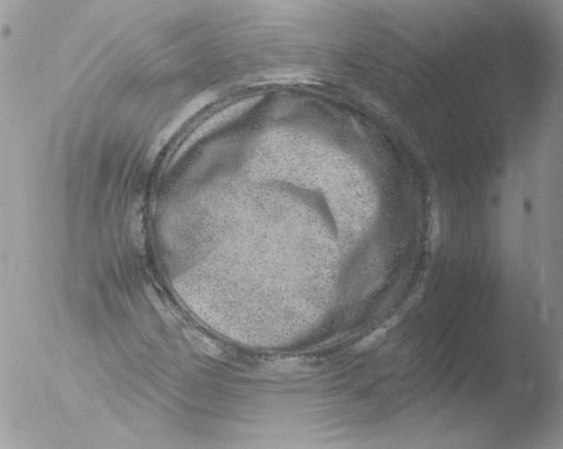 X0000051881162200507151905