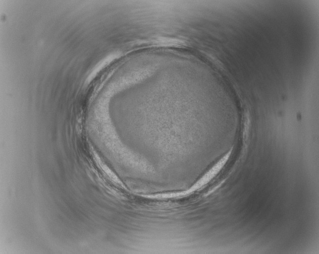 X0000051881163200507151905