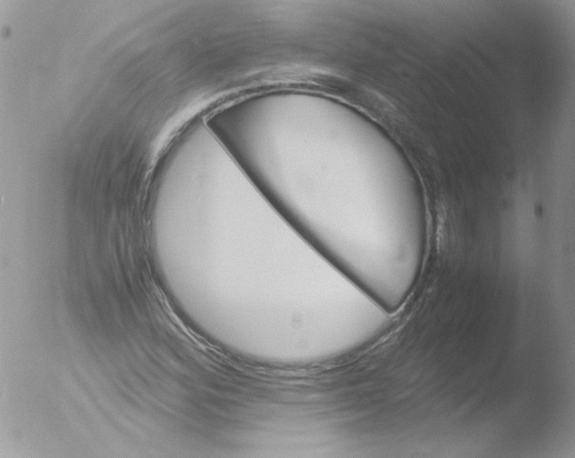 X0000051881164200507151905