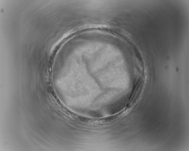 X0000051881165200507151905