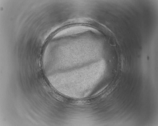 X0000051881166200507151905