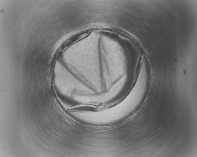 X0000051881168200507151905