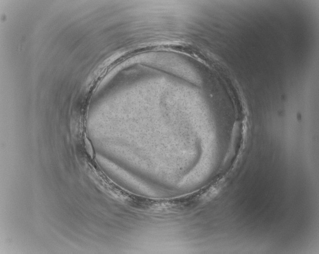 X0000051881169200507151905