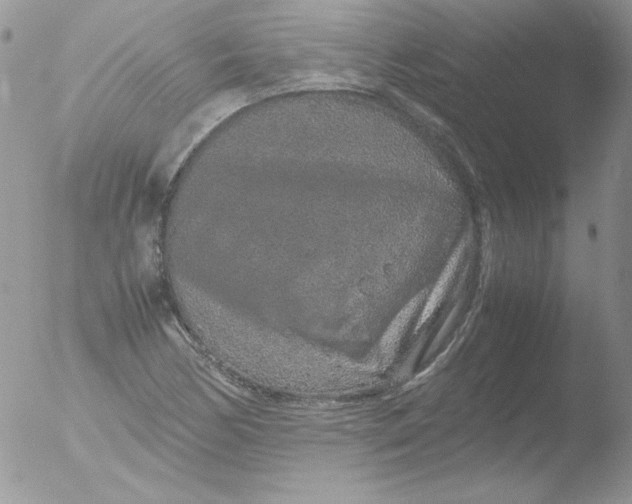 X0000051881170200507151905