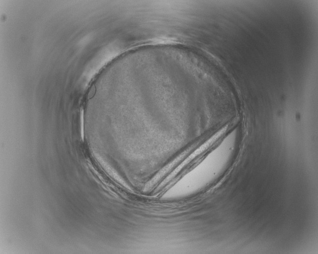 X0000051881171200507151905