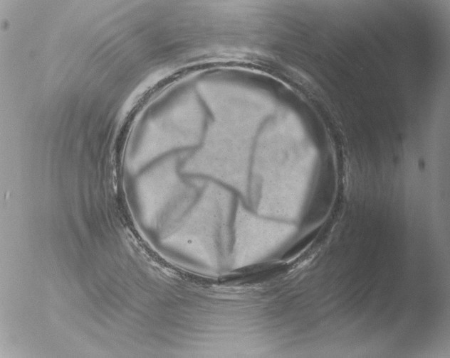 X0000051881172200507151905