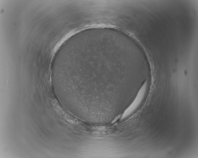 X0000051881173200507151904