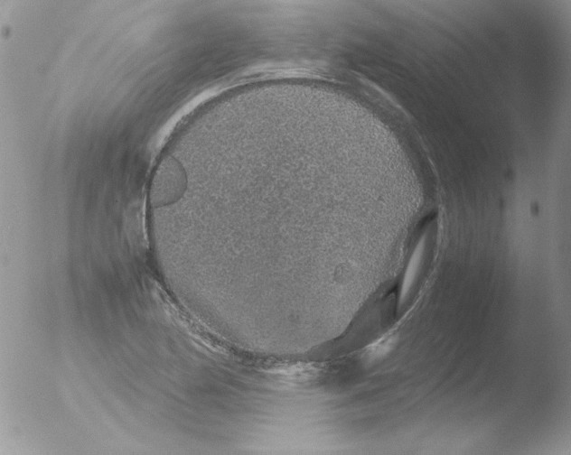 X0000051881174200507151904