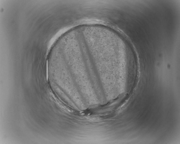 X0000051881175200507151904