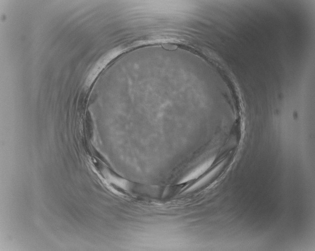 X0000051881177200507151904