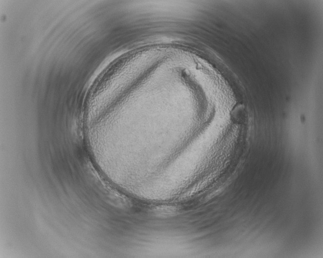 X0000051881178200507151904