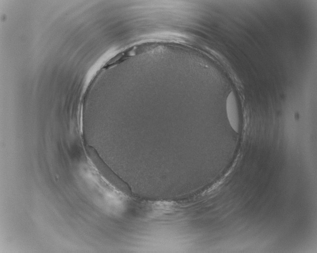 X0000051881180200507151904