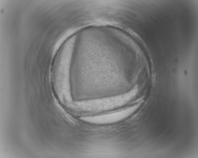 X0000051881183200507151904