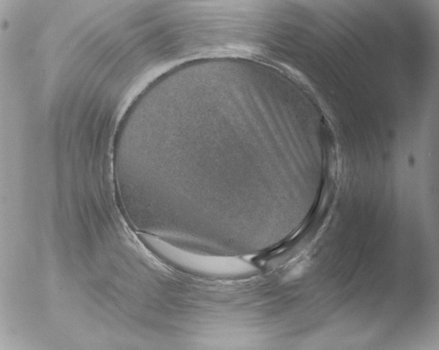 X0000051881184200507151904