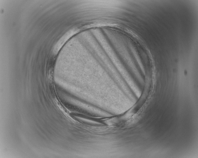 X0000051881185200507151904